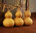 5pcs Natural Bottle Gourds Craft Dried Cleaned Calabash Cucurbit DIY Home Decor