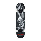 Birdhouse Complete Skateboard Tony Hawk Full Skull 7.5