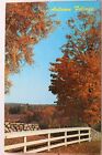 Scenic Autumn Foliage Postcard Old Vintage Card View Standard Souvenir Postal PC