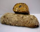 Natural Rye Bread European With Fruit & Nuts Whole Loaf 2.5lbs Unsliced Kosher