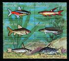 BRAZIL 1976 - Stamps Brazilian Freshwater Fishes Fauna Animal Tropical - MNH