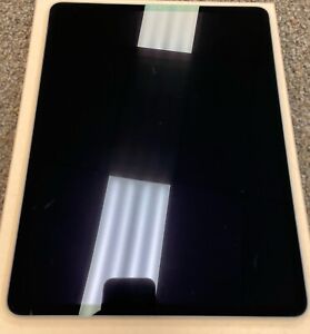 Apple iPad Pro ( 3rd Generation ) 256GB, Wi-Fi, 12.9 in - Space Gray