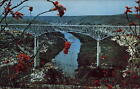 Texas Pecos River High Bridge Highway 90 ocotillo red flower ~ postcard  sku841