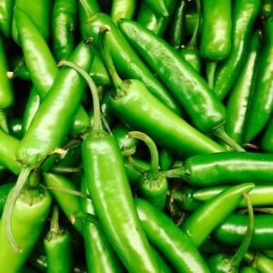 Serrano Pepper Seeds | Non-GMO | Free Shipping | Seed Store | 1010