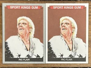 Ric Flair 2023 Sportkings Vol 4 Silver Parallel +Base #141 🔥