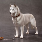 Mr.Z 1/6 Siberian Husky Dog Pet Huskie Figure Animal Decor Model Toy Kid New
