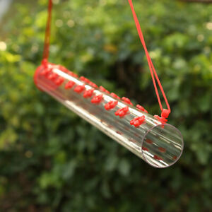 Outdoors Hanging Hummingbird Feeders Red Transparent Tube Garden Fast