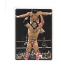 RAZOR RAMON 1994 WWF WWE Action Packed #5 Trading Card Gold Foil