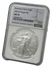 2023 W BURNISHED SILVER AMERICAN EAGLE S$1 NGC MS70 BROWN LABEL