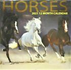 2021 Horses Wall Calendar Brand New & Sealed 12 Month Calendar Fast Shipping