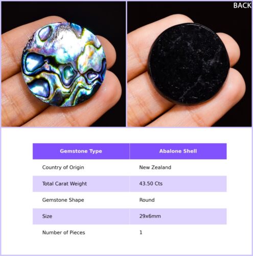 Natural Abalone Shell Gemstone Loose Cabochon From New Zealand