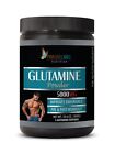 muscle gainer - GLUTAMINE POWDER 5000mg - muscle building supplements - 1 Can