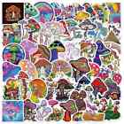 50 Psychedelic Mushroom Stickers for Laptop/Water Bottle/Phone Case/Tumbler