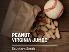 Peanuts, Virginia Jumbo - Heirloom Seeds - Non GMO (Arachis hypogaea)