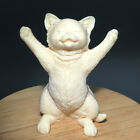 45g Natural Crystal.COROZO NUT.Hand-carved.Exquisite cat statue.gift A52