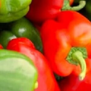California Wonder Bell Pepper Seeds  | NON-GMO | Heirloom | Fresh Garden Seeds
