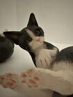 Lifelike Perching Black & White Cat(s) Shelf Sitter Statues Decor Cats