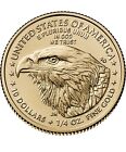 New Listing2024 American Gold Eagle 1/4 oz $10 - BU