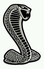 Cobra Snake Alumi Emblem Badge Decal Logo Rare for Ford Mustang Shelby GT GT500  (For: Ford Mustang)