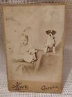 Antique Cabinet Card Photograph Infant Baby with Puppy Dog Sepia Howe Chicago