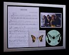 PARAMORE Decode LTD TOP QUALITY MUSIC CD FRAMED DISPLAY+EXPRESS GLOBAL SHIPPING