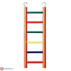 RA 6-rung Wood Bird Ladder - Multi-color