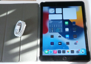 Apple iPad Air 2 WiFi A1566 64GB Space Gray MGKL2LL/A - Good Shape Bundle
