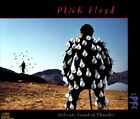 Pink Floyd : Delicate Sound of Thunder CD