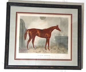 1864 Equestrian Aquatint Lithograph by Harry Hall - BLAIR ATHOL - Race Horse