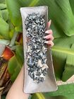 Wholesale Lot 25 pcs Old Peace River Florida Shark Tooth Frags/Whole Pieces Exti