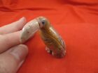 y-bir-to-40) little tan red Toucan tropical bird soapstone carving love toucans