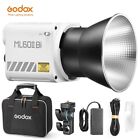 Godox ML60II Bi 2800K -6500K Handheld LED Video COB Light Photography Lighting