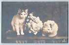 Cute Cat Kittens Postcard RPPC Photo White Haired Flowers Animal c1910's Antique