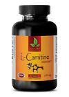 Acetyl L-Carnitine - Transports Fatty Acids - Boosts Cellular Energy - 1 Bottle