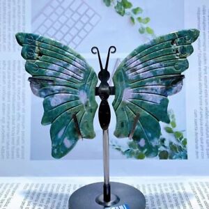 New Listingnatural Ocean Jasper Butterfly wing quartz crystal carved reiki +bracket