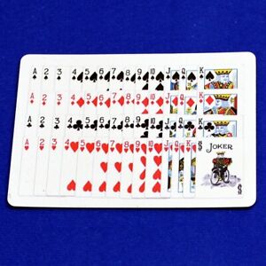 52 on 1 with Joker, Blue Bicycle Gaff Playing Card, Custom Printed