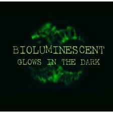 Panellus Luxfilamentus. Glow in the dark Bioluminescent Mushroom Liquid Culture
