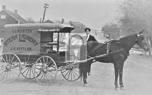 Lehighton Steam Laundry Horse Wagon Pennsylvania PA Reprint Postcard