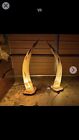 Pair Vintage African Cow Horn Lamps