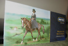 Breyer Model Horses 2006 collector's catalog, 4 3/4