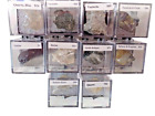 Thumbnail Mineral Lot TNBL - 10 Nice Specimens - SEE OUR STORE!