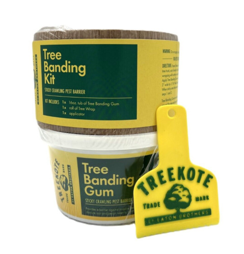 Tree Banding Kit - Prevents Gypsy Moth, Canker Worm, and More - Free Shipping