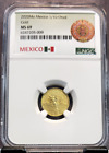 2020 MEXICO 1/10 ONZA GOLD LIBERTAD NGC MS 69 RARE KEY DATE ONLY 700 MINTED