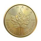 Canada 2023 $20 1/2oz Gold Maple Leafs Gem BU