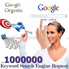 30000 Website Requests directly from Google Search Engine - Organic Traffic