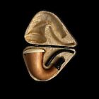 Calabash Meerschaum Pipe Sherlock Holmes pipe hand carved unsmoked w case MD-472