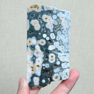 B5081Amazing Natural Ocean Jasper Agate Crystal Stone Slice Jasper Reiki Upstand