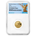2022 Proof Gold Mexican Libertad Onza 1/10 oz NGC PF70UC FDI Mexico Label