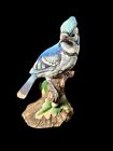 Vintage Blue Jay Bird Figurine Andrea by Sadek
