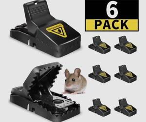 6 Pack Mouse Traps Rat Mice Killer Snap Trap Power Rodent Heavy Duty Pest Trap